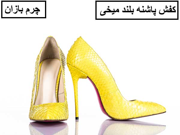 کفش با پاشنه میخی charmbazan