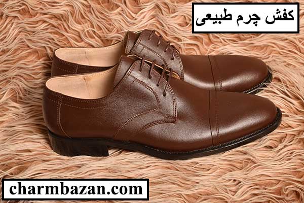 تمیزکردن کفش چرم طبیعی - charmbazan