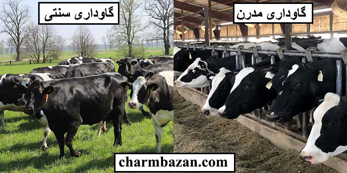 چرم طبیعی باکیفیت _ چرمبازان - چرم بازان