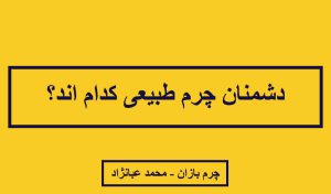 دشمنان چرم طبیعی _ چرم بازان