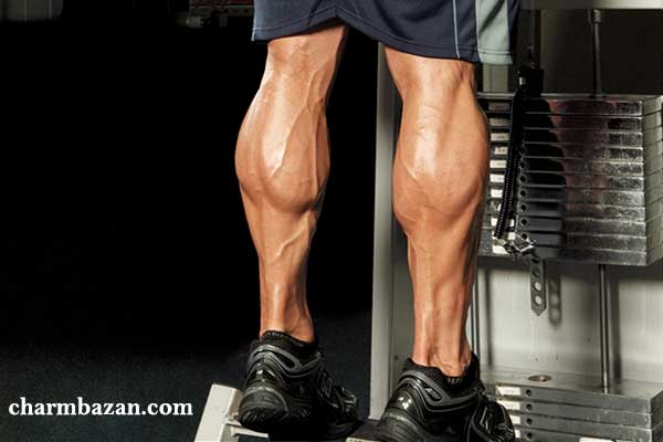 دومین قلب انسان کجاست؟ - قلب دوم چیست؟ - چرم بازان - چرمبازان - charmbazan