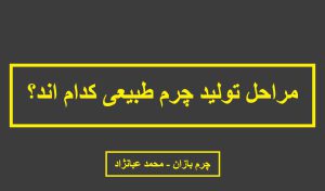 نحوه تولید چرم طبیعی - چرم بازان