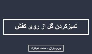 تمیز کردن گل کفش - چرم بازان - charmbazan