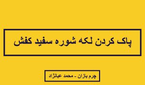 پاککردن شوره از کفش چرم - چرم بازان