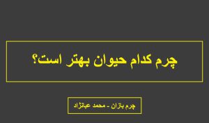 چرم کدام حیوان بهتر است؟
