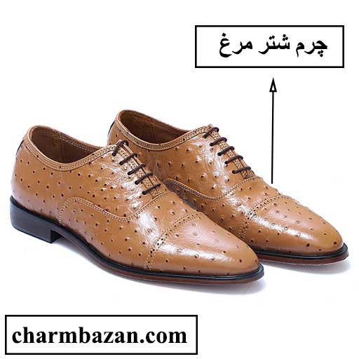 چرم شتر بهتر است یا چرم گاوی - charmbazan - چرم شترمرغ