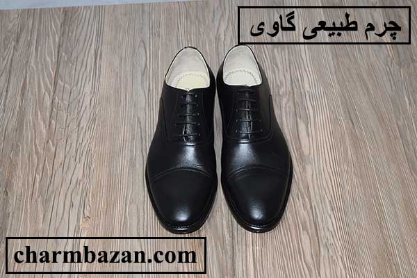 کدام حیوان چرم بهتری دارد؟ چرم بازان