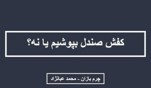 کفش صندل بپوشیم یا نه؟_چرم بازان_محمد عبانژاد