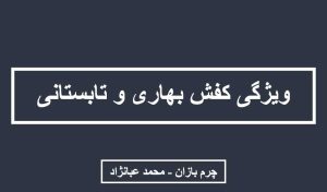 کفش مناسب بهار و تابستان _ چرم بازان _ محمد عبانژاد
