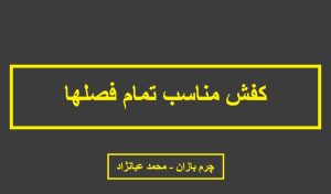 کفش برای تمام فصلها _ چرم بازان _ محمد عبانژاد