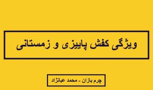 کفش مناسب پاییز و زمستان _ چرم بازان _ محمد عبانژاد